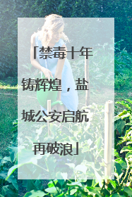 禁毒十年铸辉煌，盐城公安启航再破浪