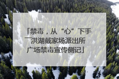 禁毒，从“心”下手――洪湖戴家场派出所广场禁毒宣传侧记