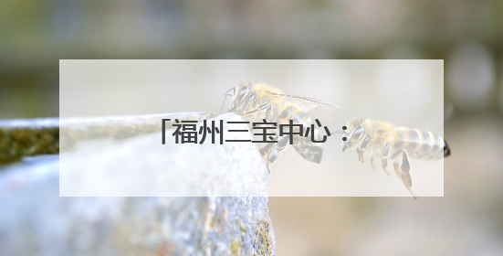 福州三宝中心：多目标同步监测技术实践纪实