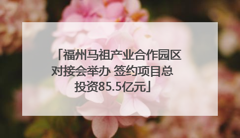福州马祖产业合作园区对接会举办 签约项目总投资85.5亿元