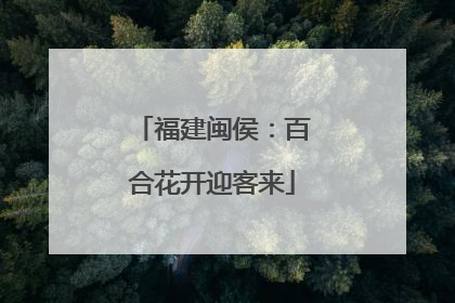 福建闽侯：百合花开迎客来