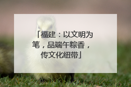 福建：以文明为笔，品端午粽香，传文化纽带