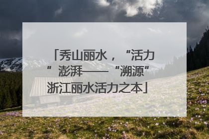 秀山丽水，“活力”澎湃——“溯源”浙江丽水活力之本