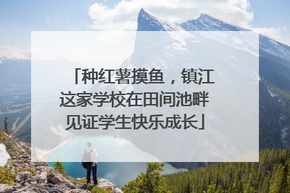 种红薯摸鱼，镇江这家学校在田间池畔见证学生快乐成长