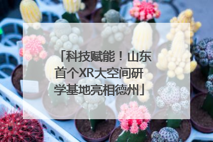 科技赋能！山东首个XR大空间研学基地亮相德州