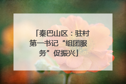 秦巴山区：驻村第一书记“组团服务”促振兴