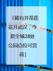 稀有并蒂莲花开武汉，今夏全城28处公园点位可赏荷