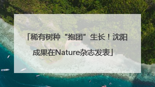 稀有树种“抱团”生长！沈阳成果在Nature杂志发表