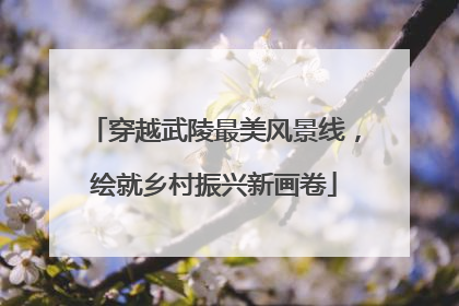 穿越武陵最美风景线，绘就乡村振兴新画卷