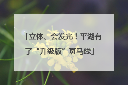 立体、会发光！平湖有了“升级版”斑马线