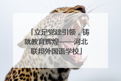 立足党建引领，铸就教育辉煌——河北联邦外国语学校