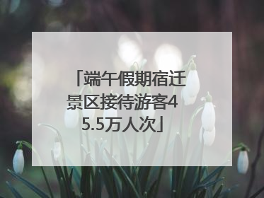 端午假期宿迁景区接待游客45.5万人次