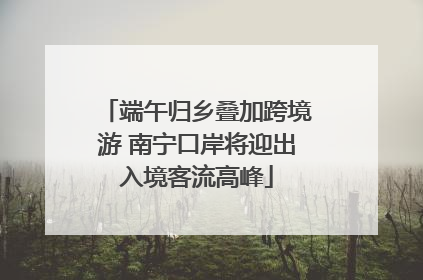 端午归乡叠加跨境游 南宁口岸将迎出入境客流高峰