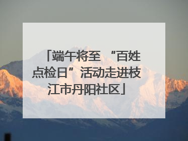 端午将至 “百姓点检日”活动走进枝江市丹阳社区