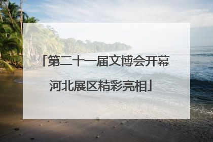 第二十一届文博会开幕 河北展区精彩亮相