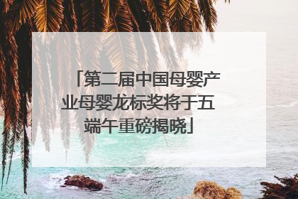 第二届中国母婴产业母婴龙标奖将于五端午重磅揭晓