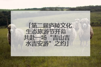第二届庐陵文化生态旅游节开幕 共赴一场“吉山吉水吉安游”之约