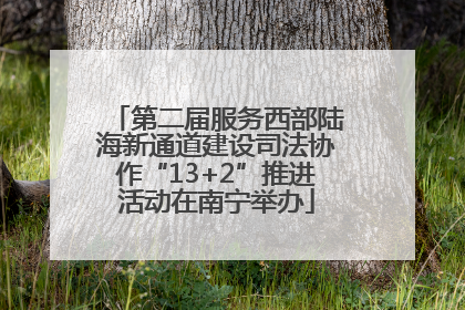第二届服务西部陆海新通道建设司法协作“13+2”推进活动在南宁举办