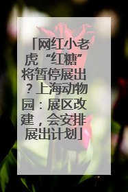 网红小老虎“红糖”将暂停展出？上海动物园：展区改建，会安排展出计划