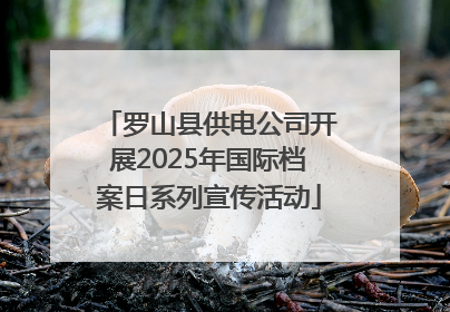 罗山县供电公司开展2025年国际档案日系列宣传活动