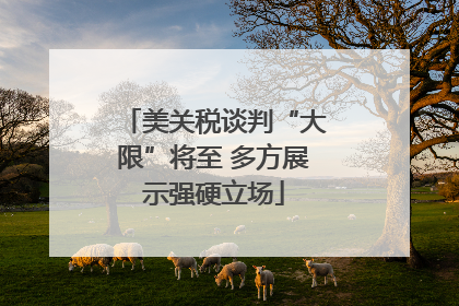 美关税谈判“大限”将至 多方展示强硬立场
