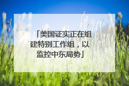 美国证实正在组建特别工作组，以监控中东局势