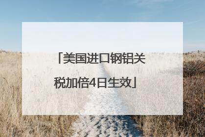 美国进口钢铝关税加倍4日生效