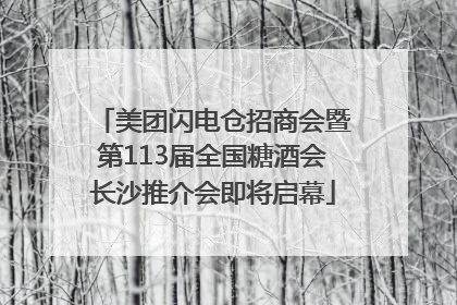 美团闪电仓招商会暨第113届全国糖酒会长沙推介会即将启幕