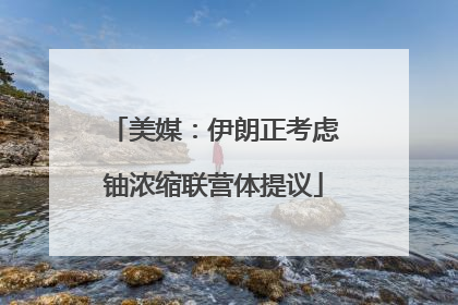 美媒：伊朗正考虑铀浓缩联营体提议