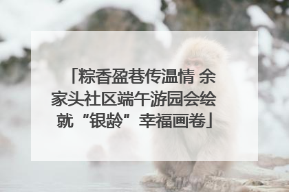 粽香盈巷传温情 余家头社区端午游园会绘就“银龄”幸福画卷