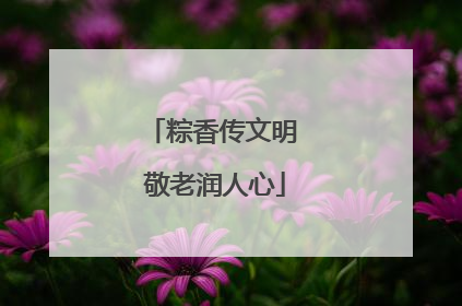 粽香传文明 敬老润人心