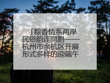 粽香情系两岸 民俗韵连同胞——杭州市余杭区开展形式多样的迎端午联谊活动