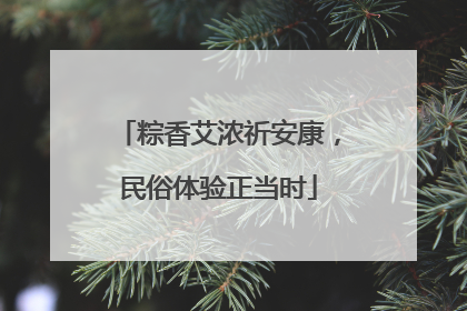 粽香艾浓祈安康，民俗体验正当时