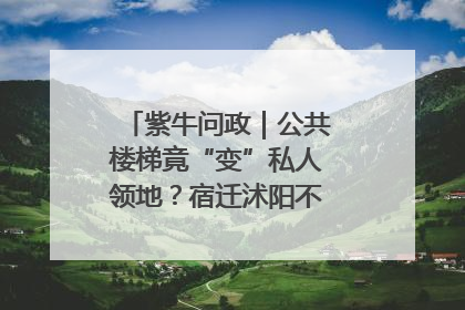 紫牛问政｜公共楼梯竟“变”私人领地？宿迁沭阳不动产登记引质疑