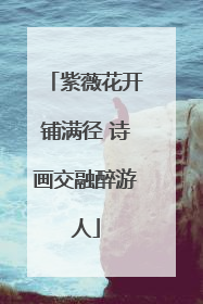 紫薇花开铺满径 诗画交融醉游人