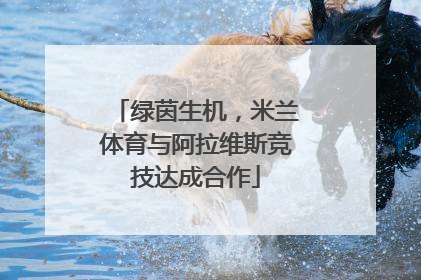 绿茵生机，米兰体育与阿拉维斯竞技达成合作