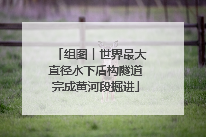 组图丨世界最大直径水下盾构隧道完成黄河段掘进