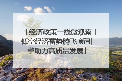 经济政策一线微观察丨低空经济蓄势腾飞 新引擎助力高质量发展