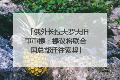 俄外长拉夫罗夫旧事重提：提议将联合国总部迁往索契