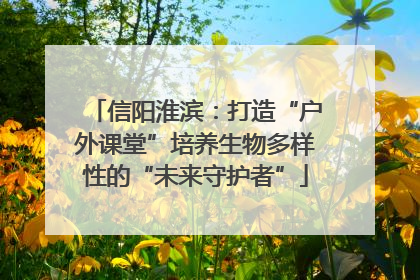 信阳淮滨：打造“户外课堂”培养生物多样性的“未来守护者”