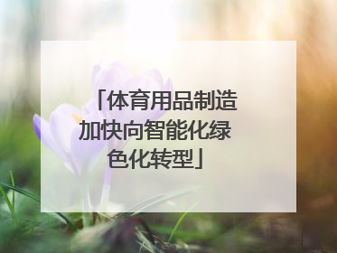体育用品制造加快向智能化绿色化转型