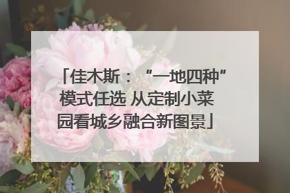 佳木斯：“一地四种” 模式任选 从定制小菜园看城乡融合新图景