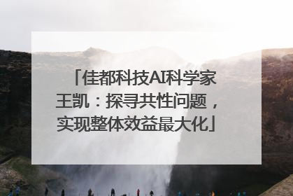 佳都科技AI科学家王凯：探寻共性问题，实现整体效益最大化
