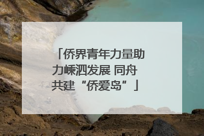 侨界青年力量助力嵊泗发展 同舟共建“侨爱岛”