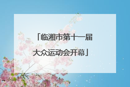 临湘市第十一届大众运动会开幕