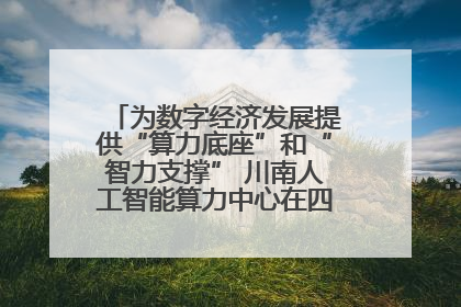 为数字经济发展提供“算力底座”和“智力支撑” 川南人工智能算力中心在四川泸州启动