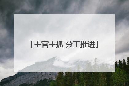 主官主抓 分工推进