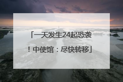 一天发生24起恐袭！中使馆：尽快转移
