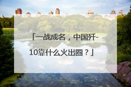 一战成名，中国歼-10靠什么火出圈？