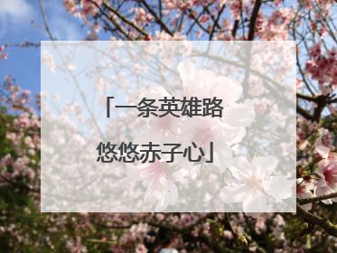 一条英雄路 悠悠赤子心